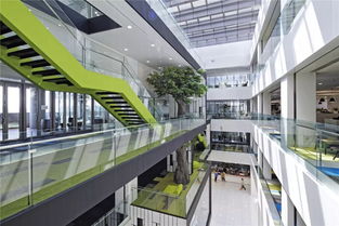 揭秘基金交易员 从图书馆到网络技术研发的办公革命