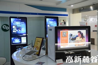 湘籍创业者在沪 用网络技术研发为家乡添光彩