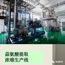 霍尔果斯 从百年边陲口岸到跨境金融与网络技术的“新试验田”